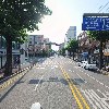 코스모스디자인_2