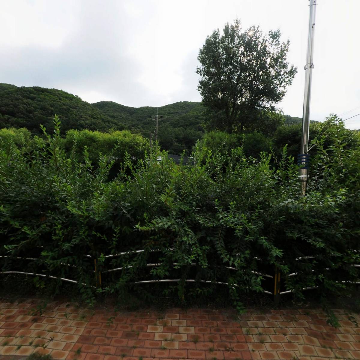삼남매식품