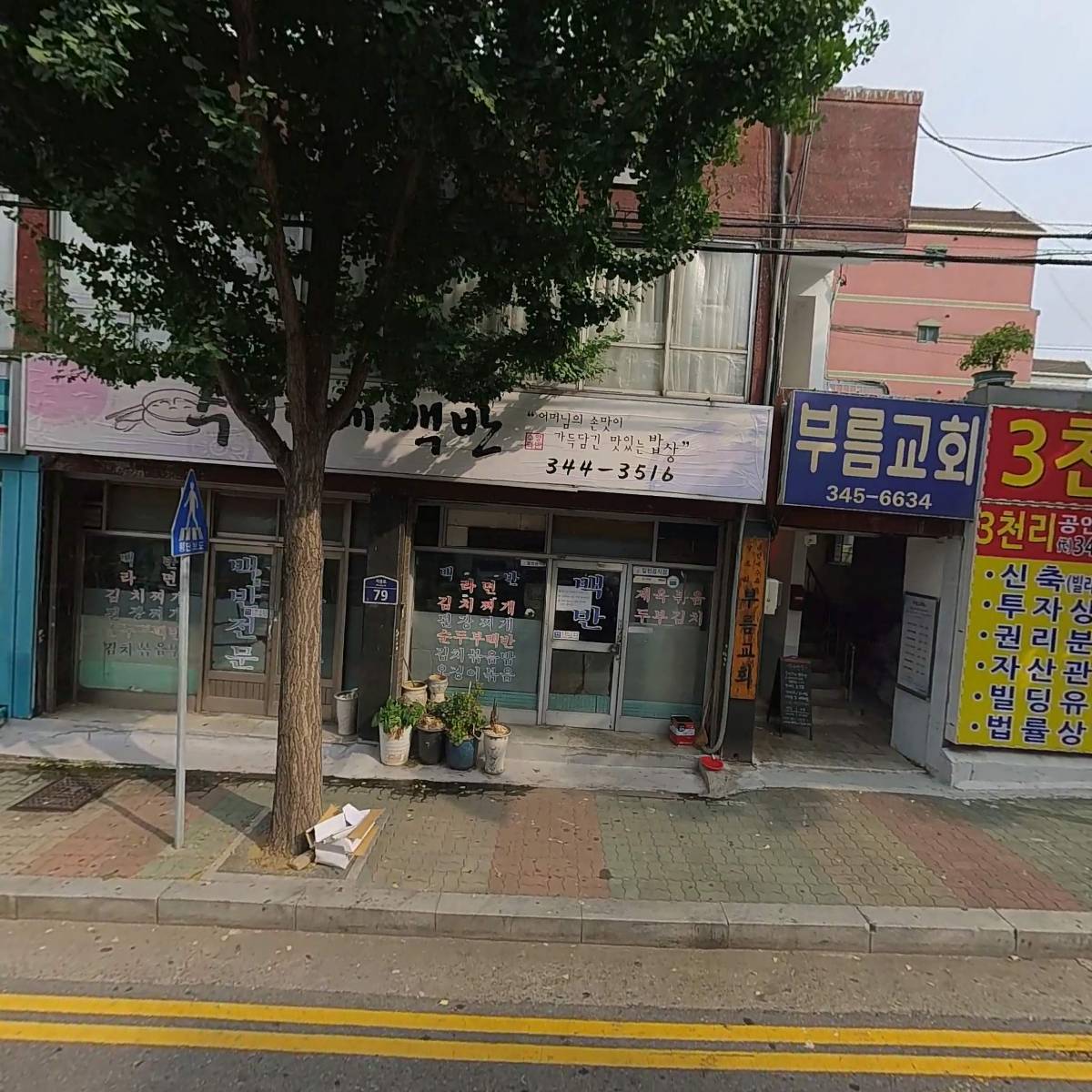 완두콩 프로젝트