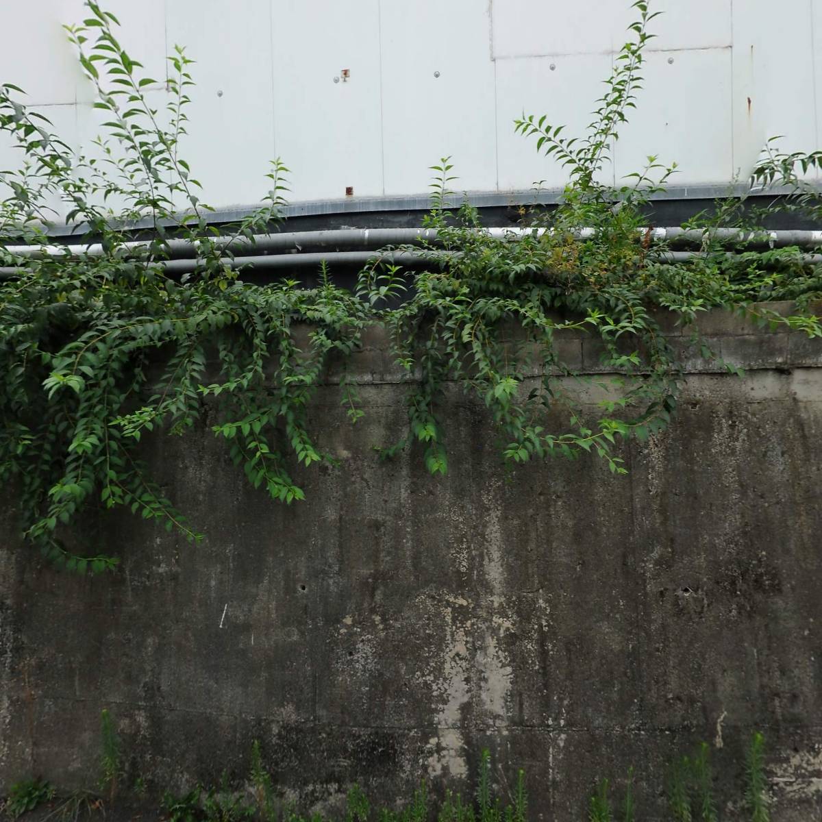 （주）디케이골든글로브
