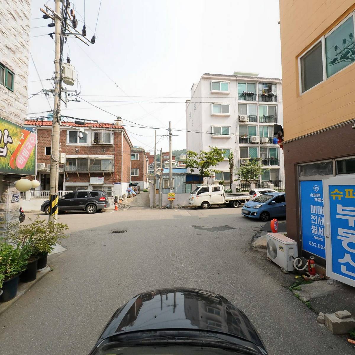 킹덤조경_4