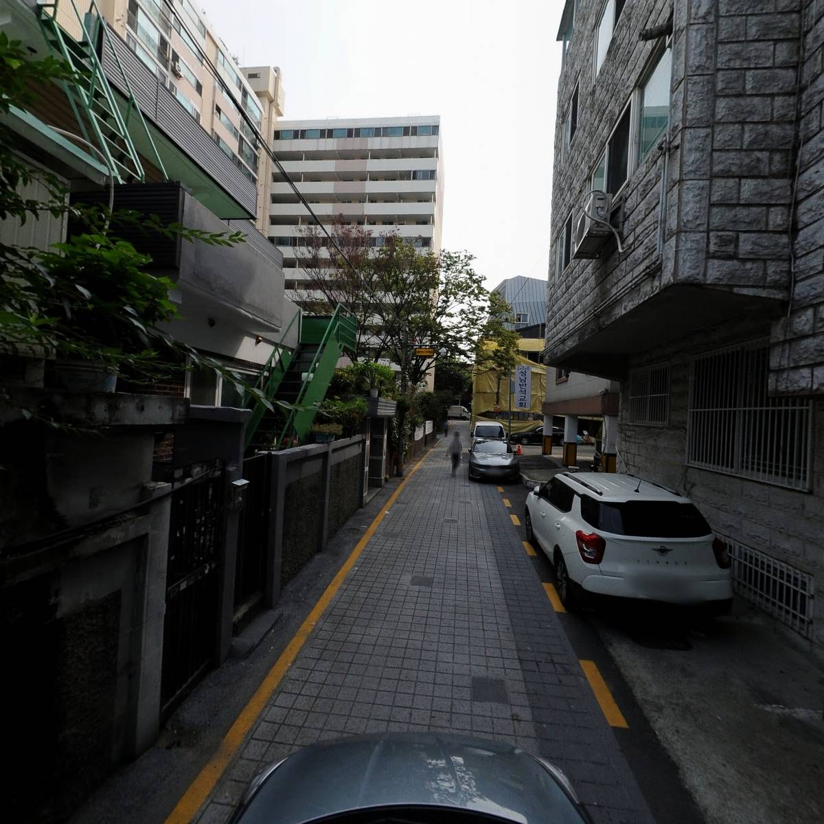 흥성하월시아_4