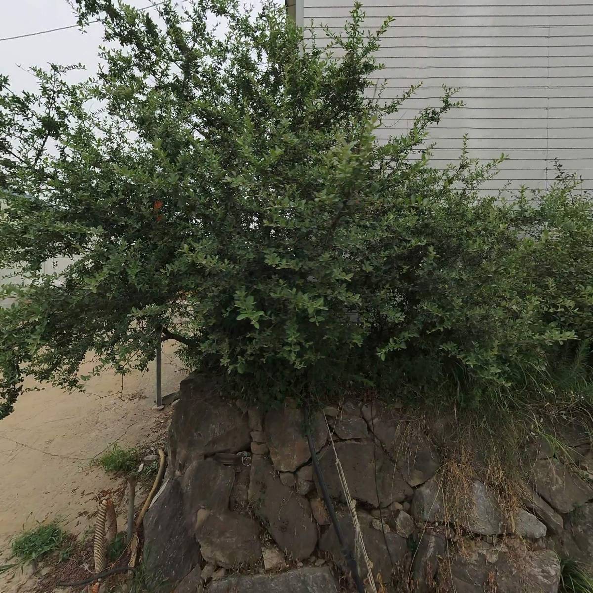 김포쌀농장