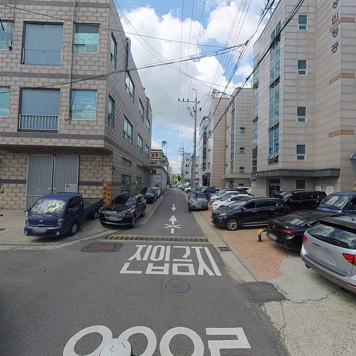 한국코코유리_2