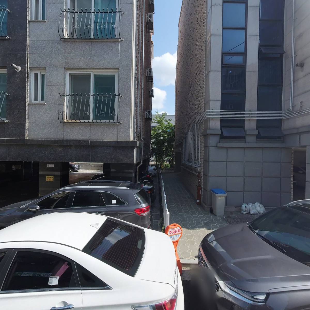 육회야문연어 수원인계점