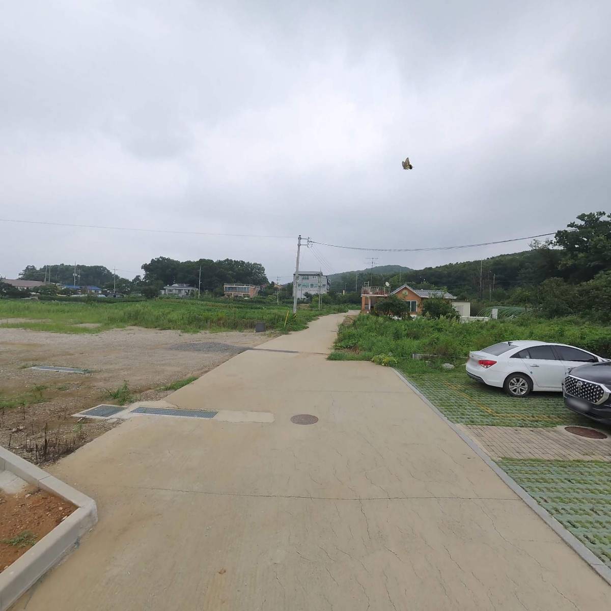 (주) 참빛농산_2