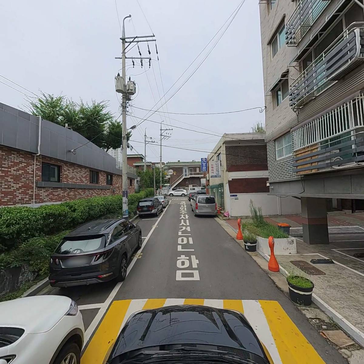더키모아_4