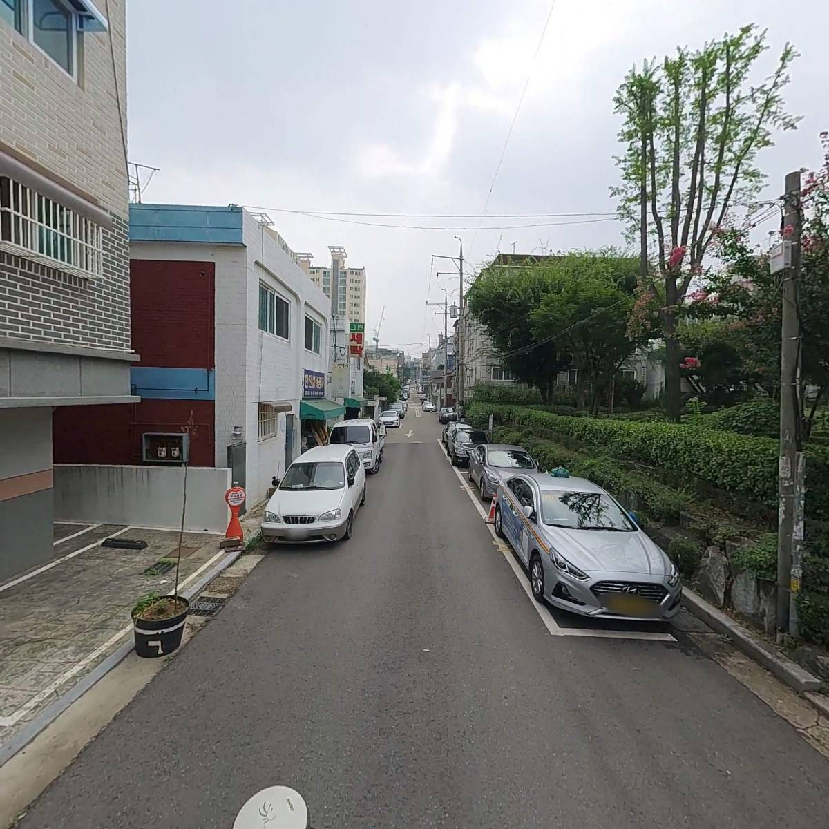더키모아_2