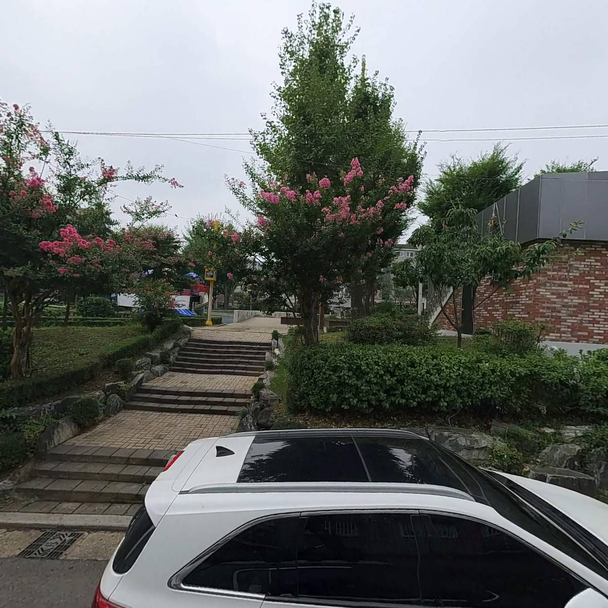 더키모아_3