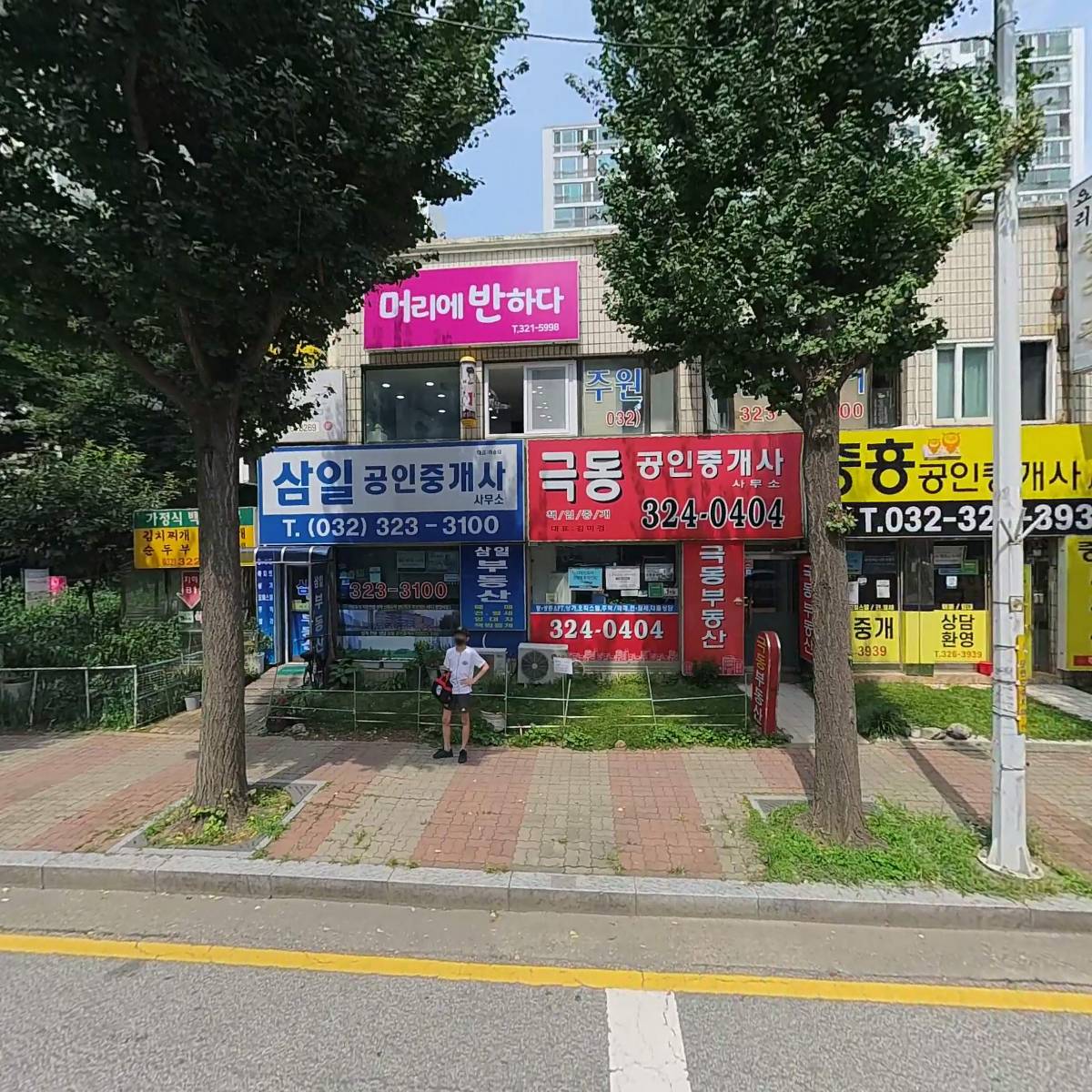 디에스타(Diesta)_3