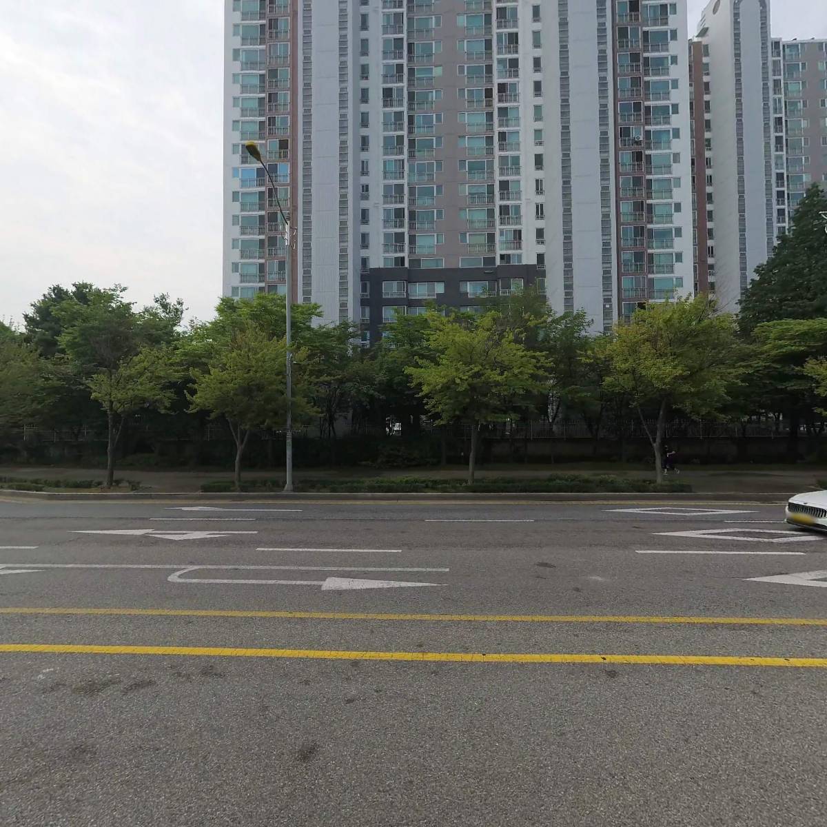 피디엔에이주식회사_3