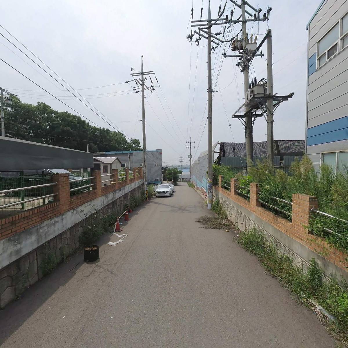 （주）프렌시스_2