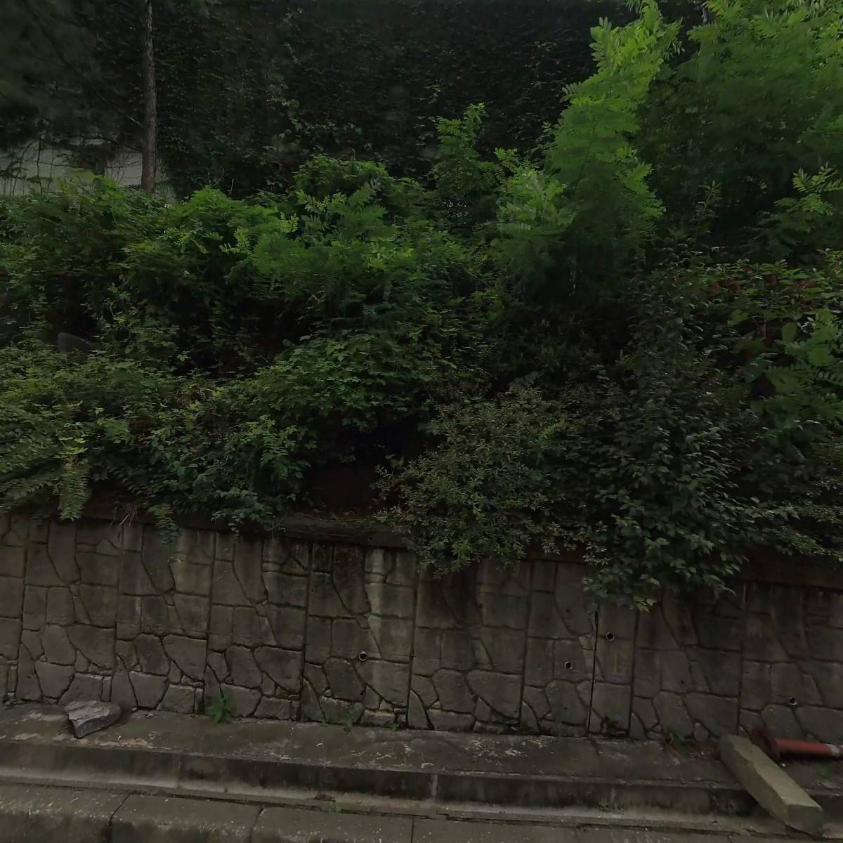 (복)무궁화동산