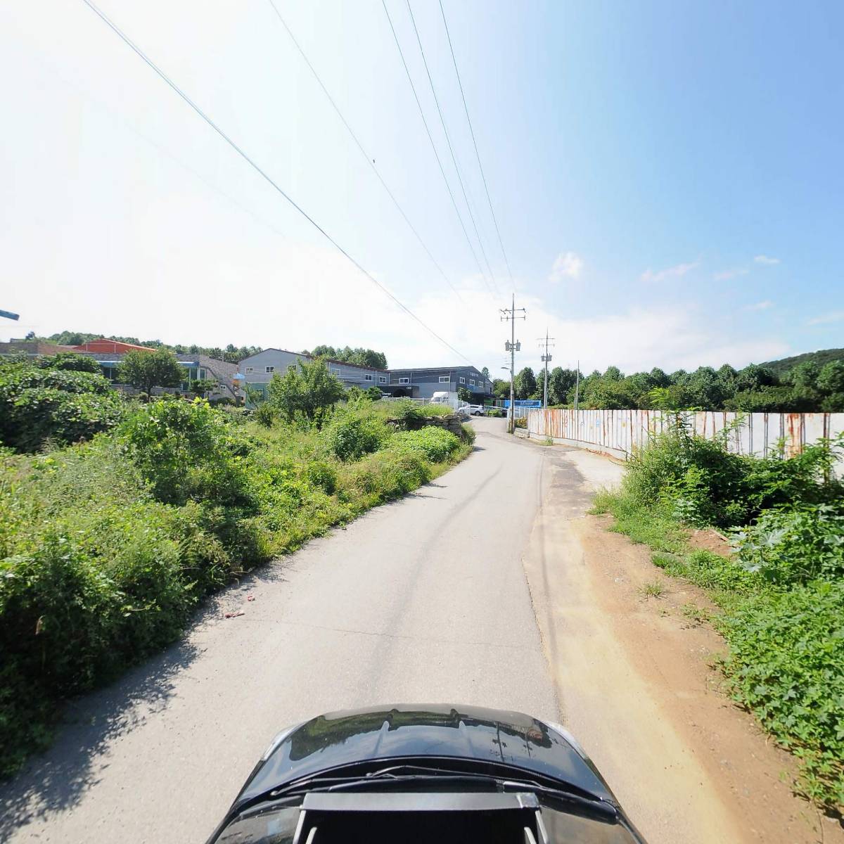 한진벌목_4
