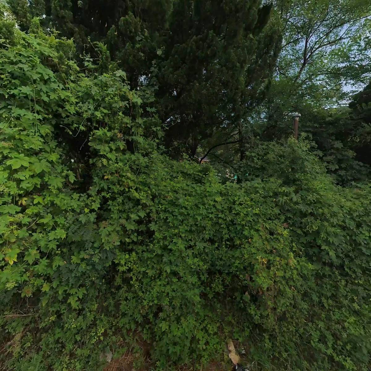 한정식숲다담