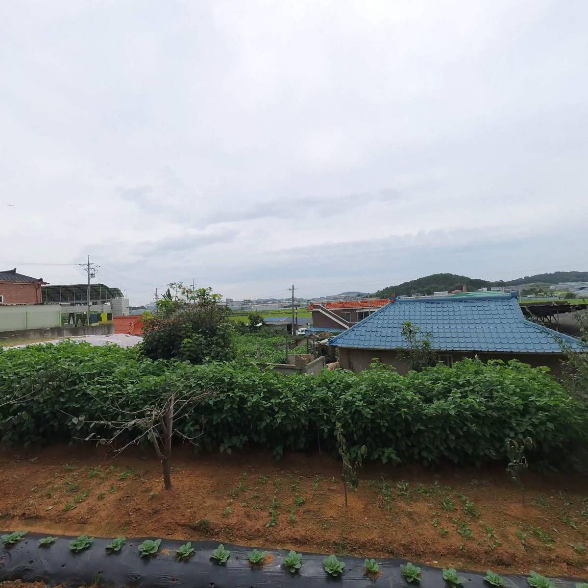 주식회사쪽빛누리_3