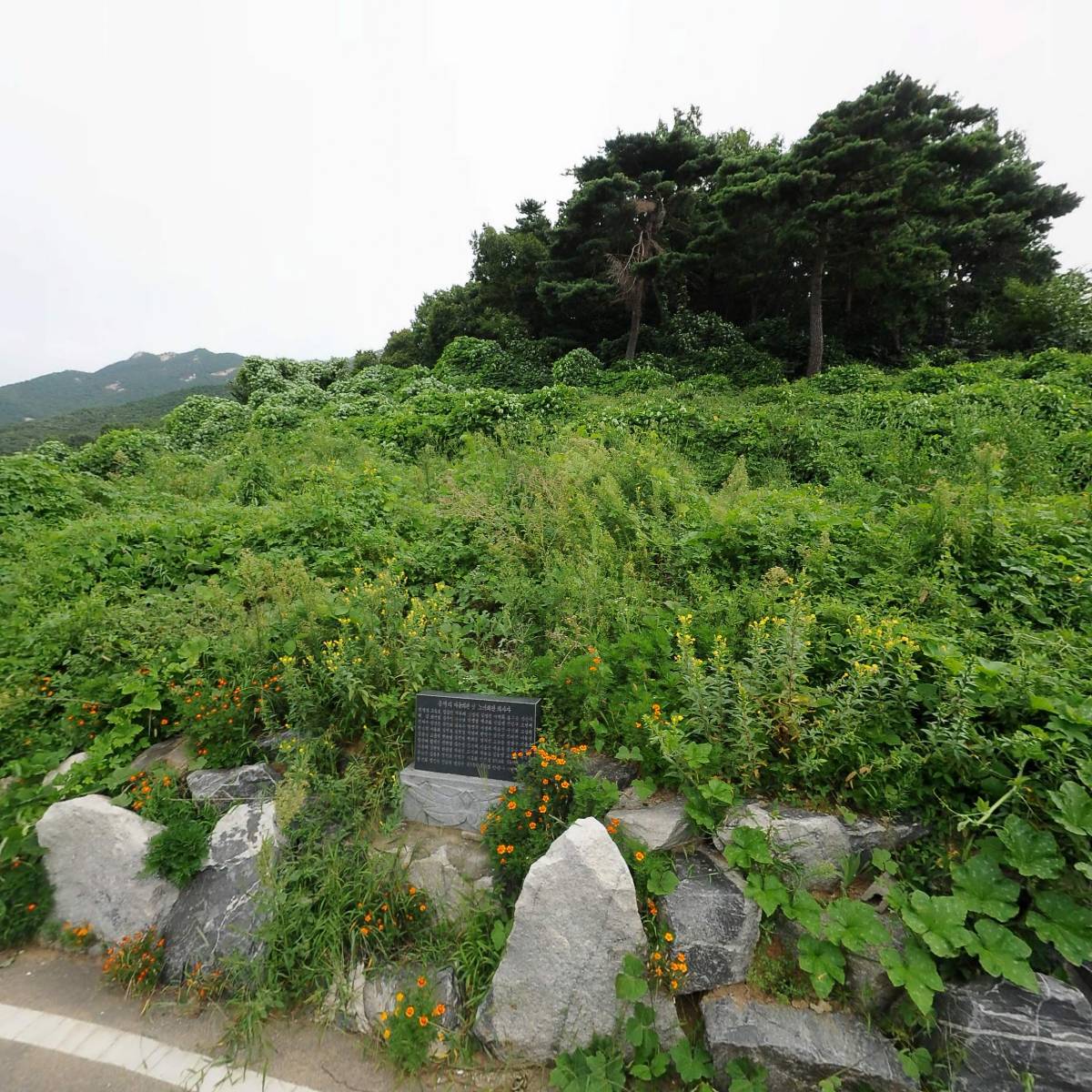 동막리마을회_3