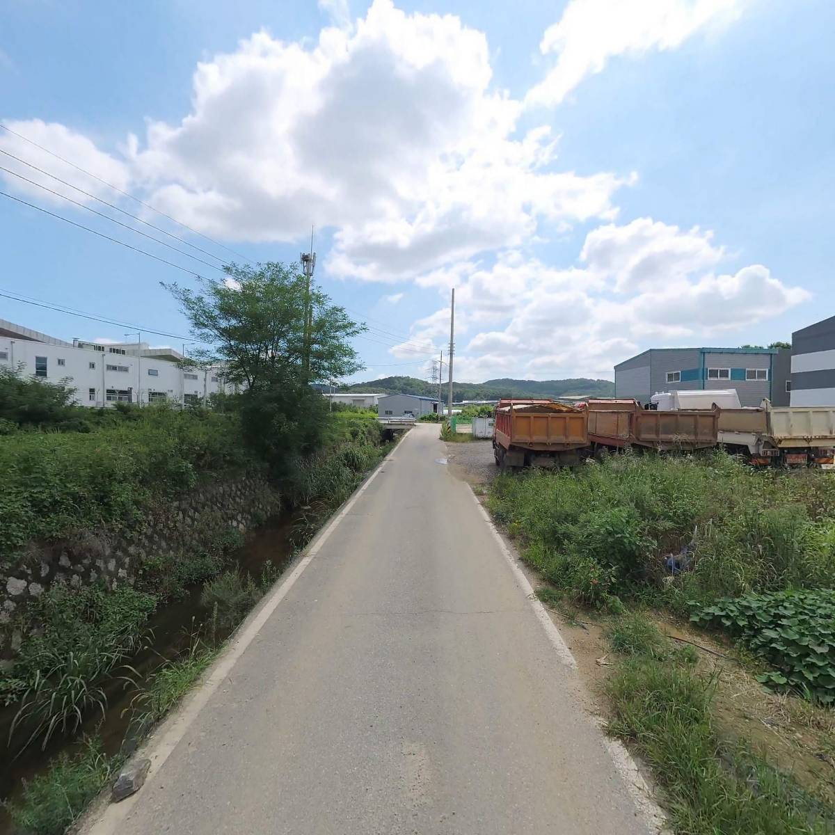 마이모조_2