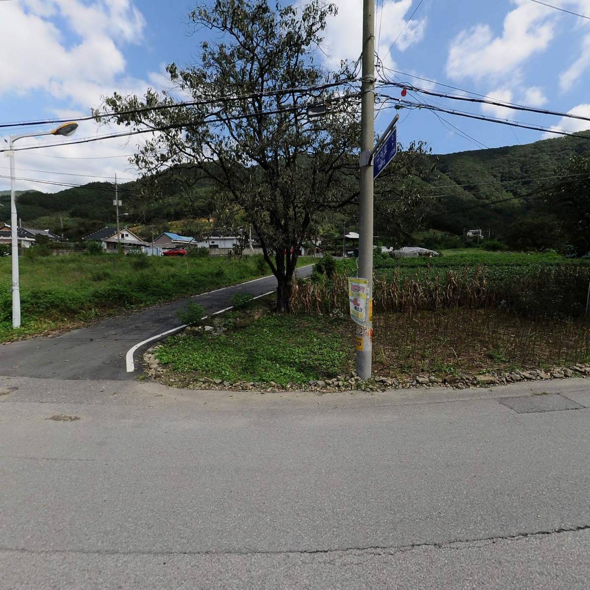 평화촌정육점_3