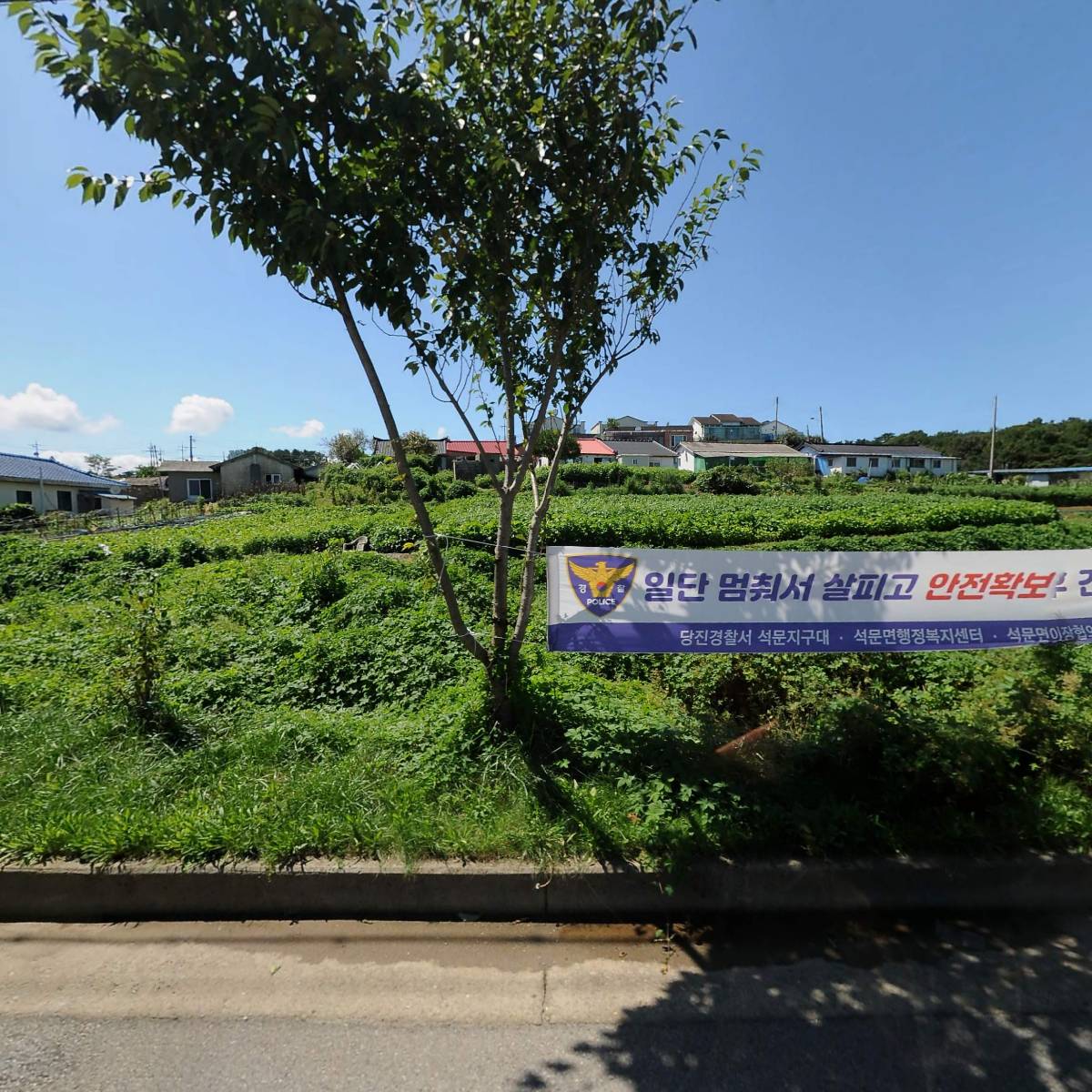 장고항 실치마을 수산발전위원회