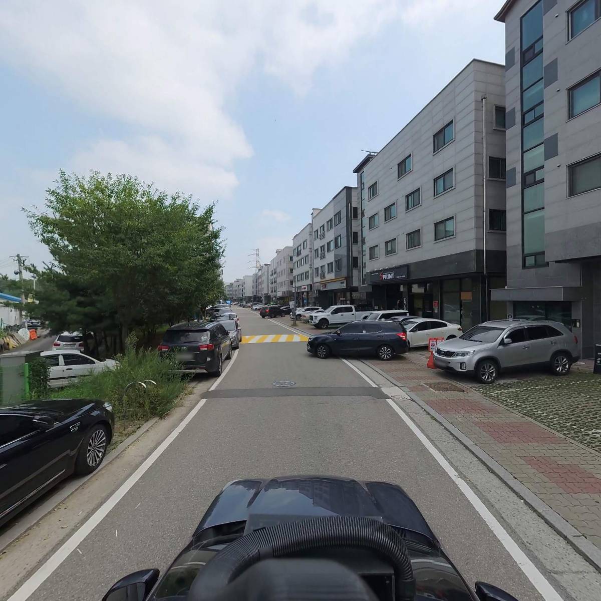 김포동물병원치료해주오_4