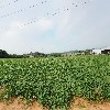 제칠일안식일예수재림교차돌교회_3