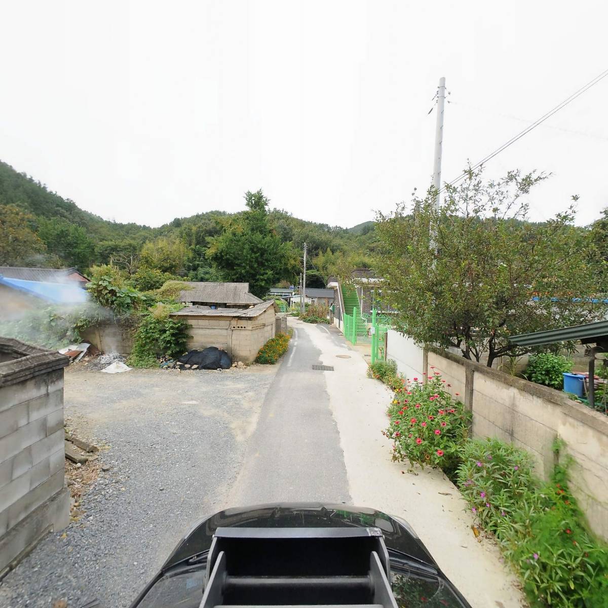 만타네_4