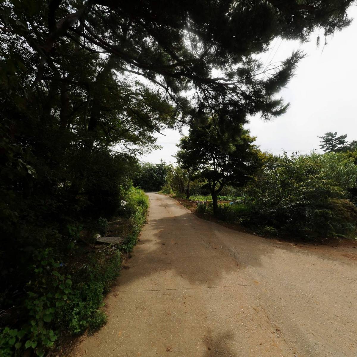 당찬토건_2