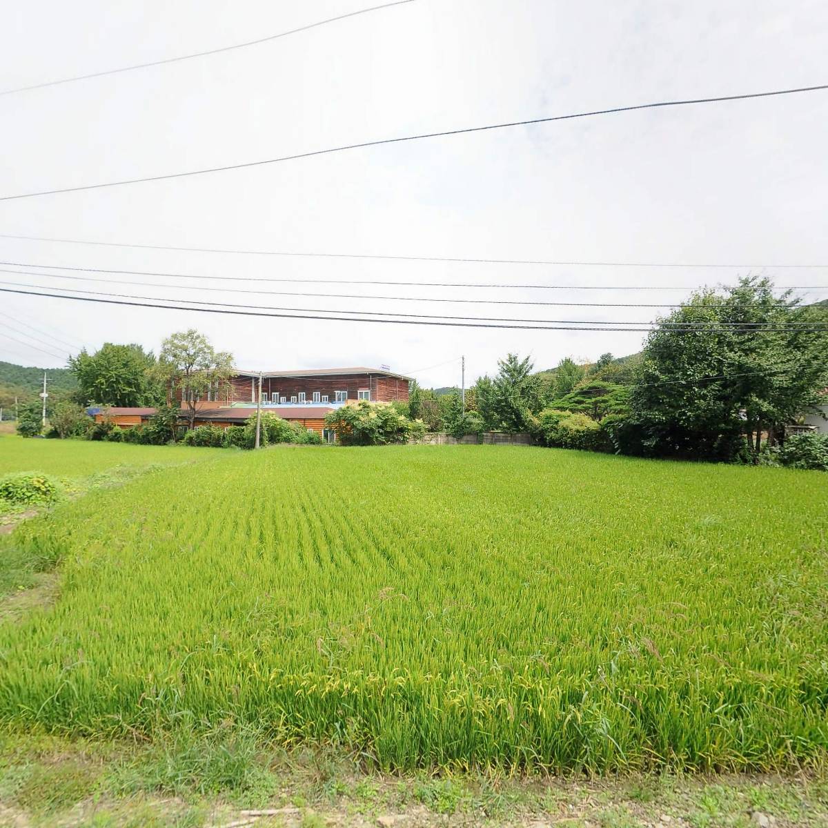 (주)투비포글로벌