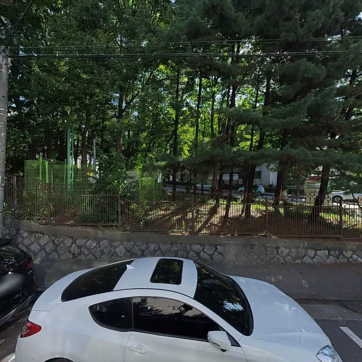 꽃집, 미플레르