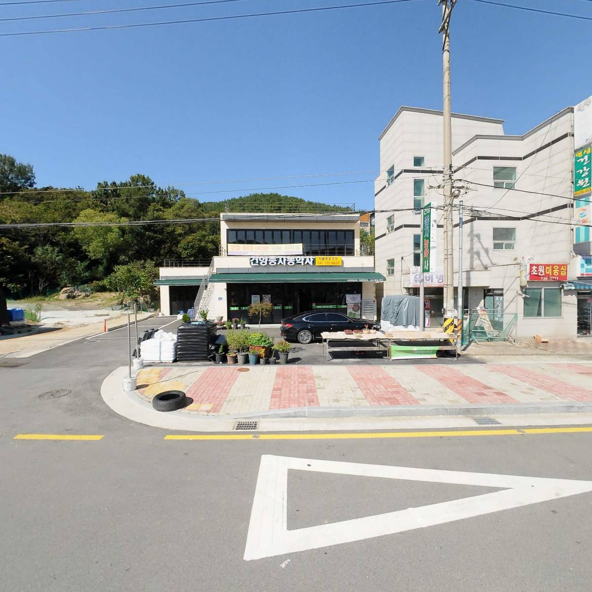 건양종자농약사