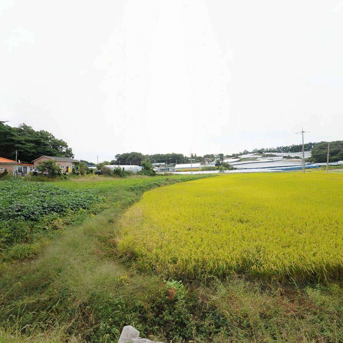 농업회사법인생태농부(주)