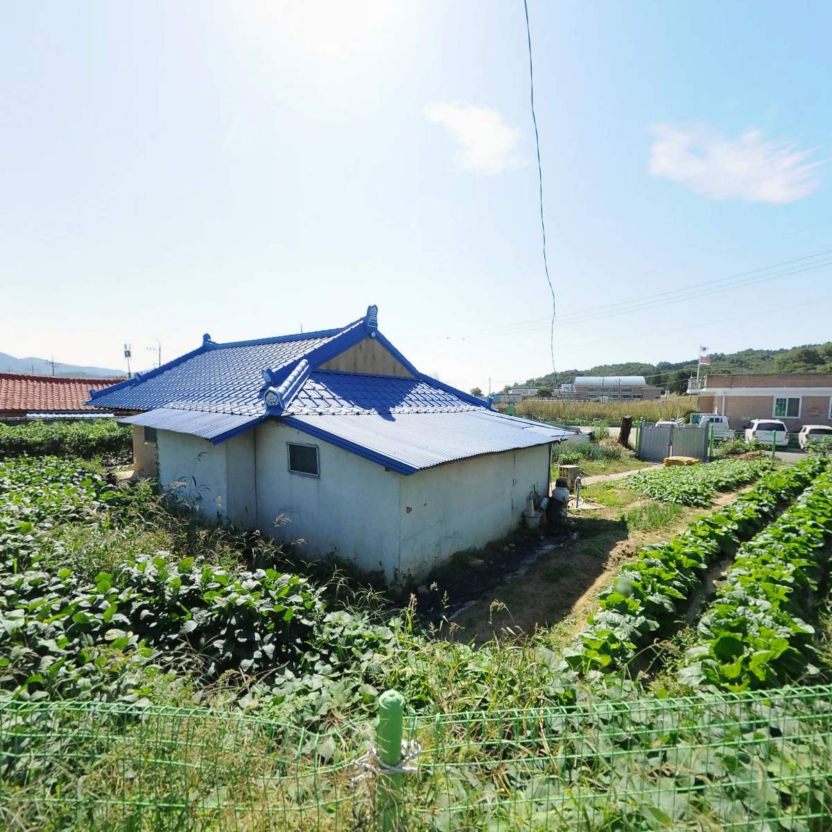 오병이어협동조합