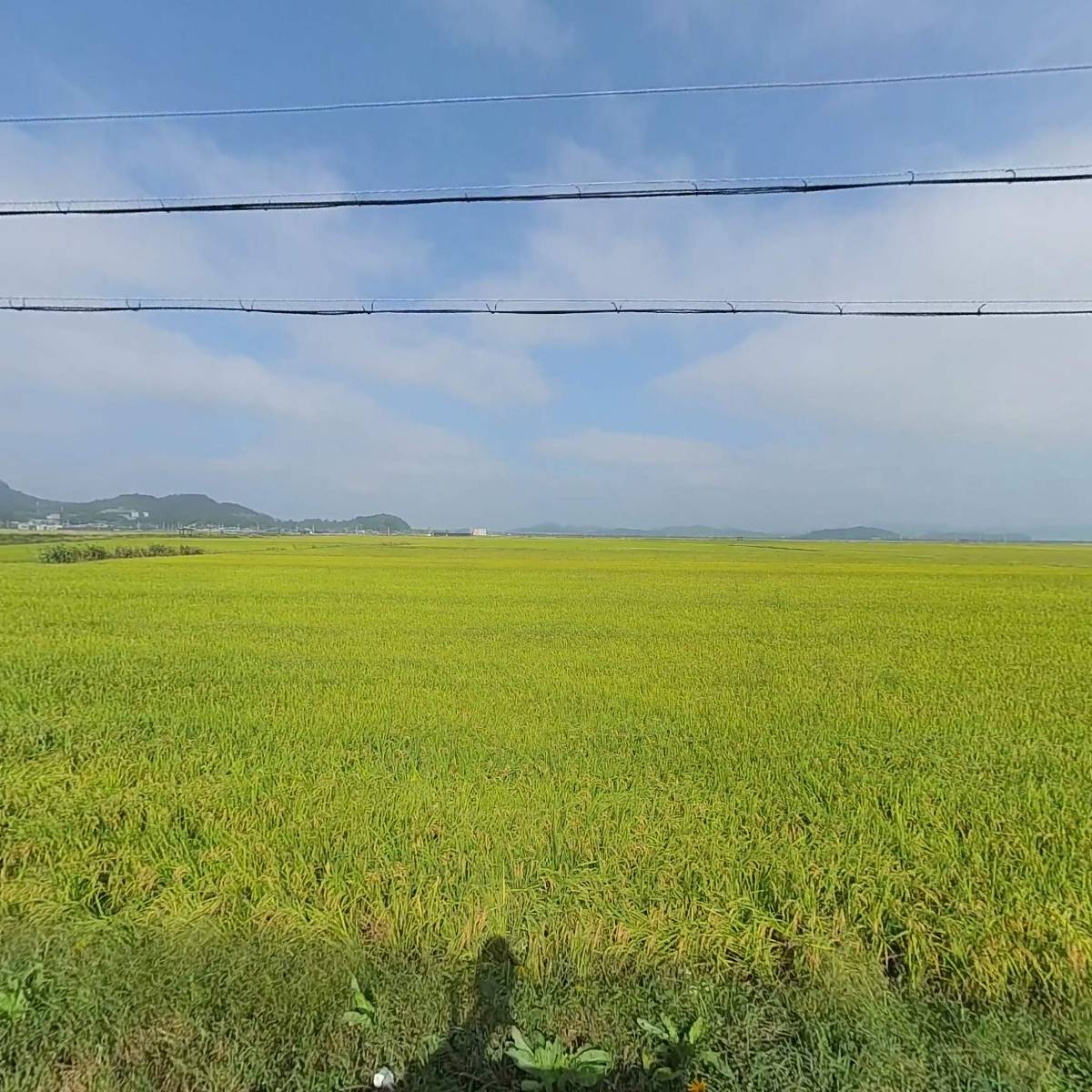 농업회사법인유한회사네이처앤파머스