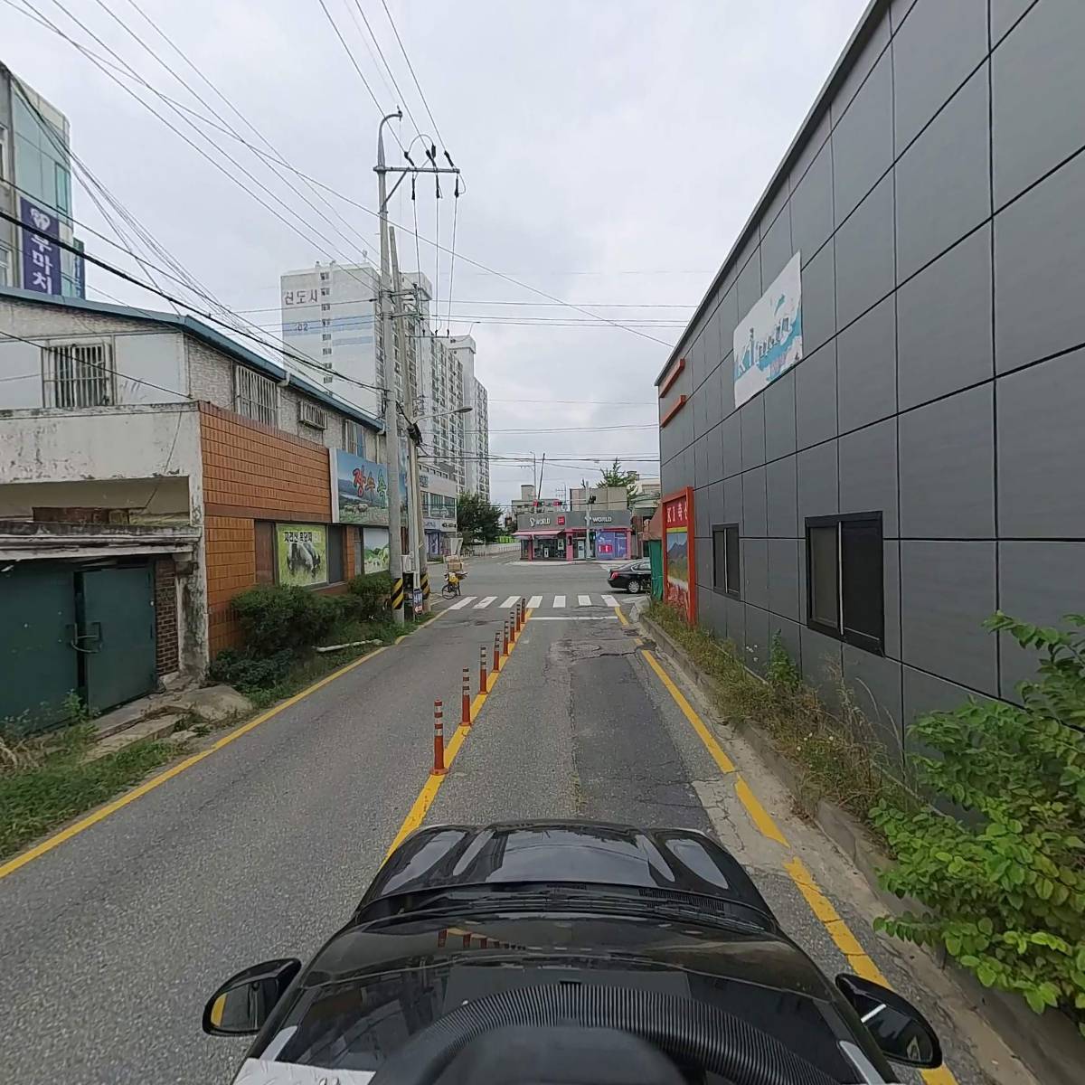 로하네일_4