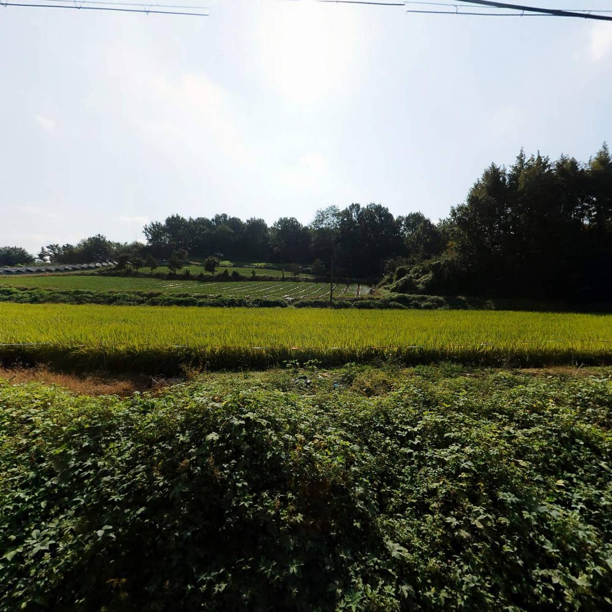 이산모자원  （사회복지법인 이산원 운영）_3