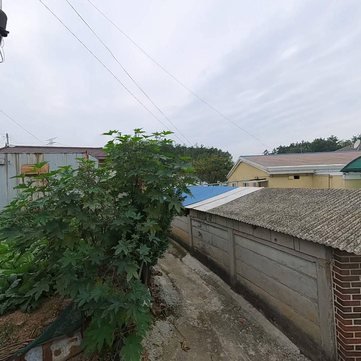 (유)신촌_3