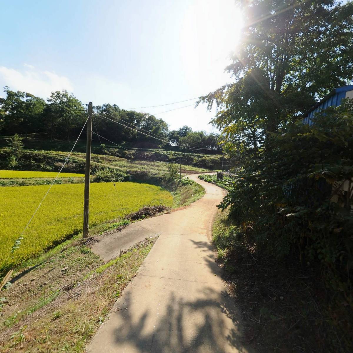 충청남도교육청(송산중학교 방과후학교 강사)_2