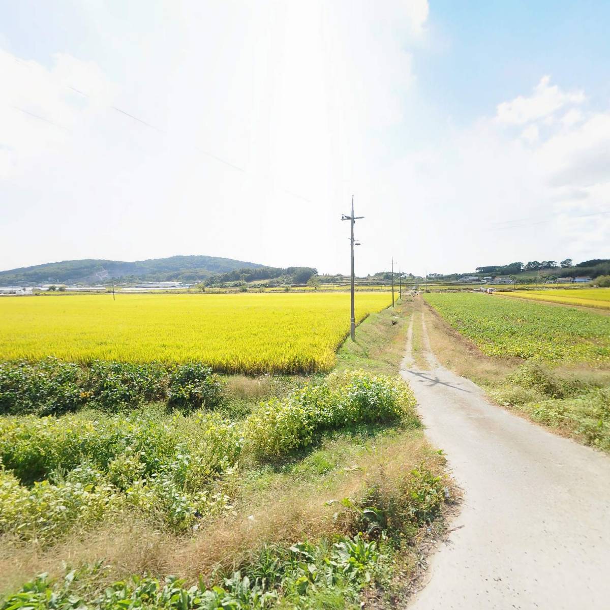 석천운수