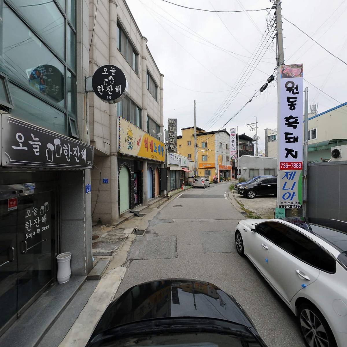 원동흑돼지_4