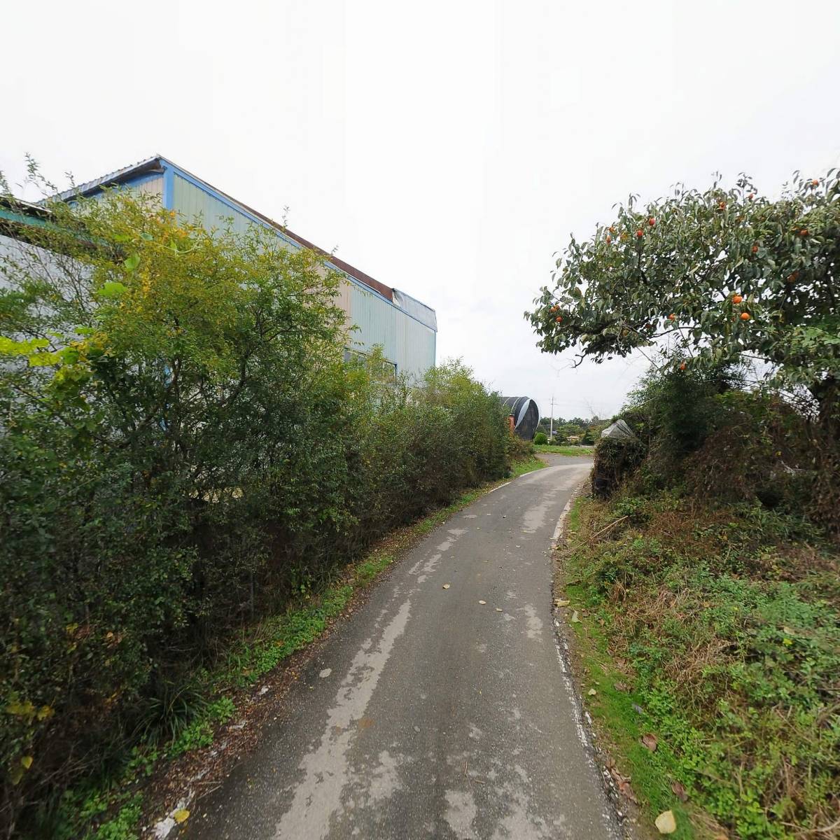 대왕연료주식회사_2