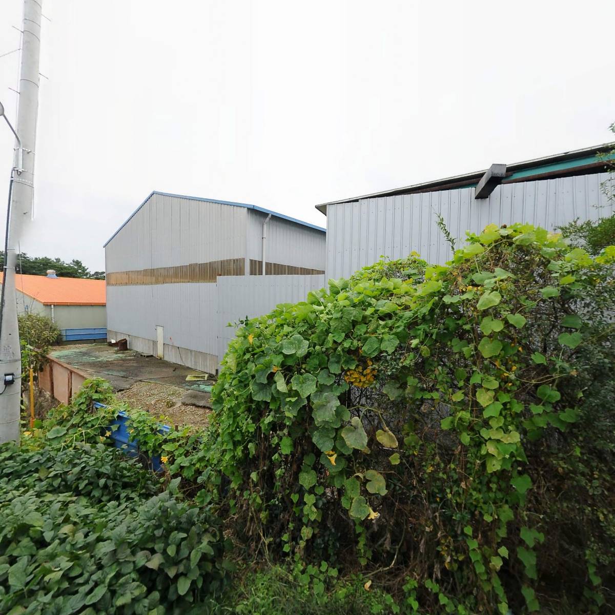 대왕연료주식회사