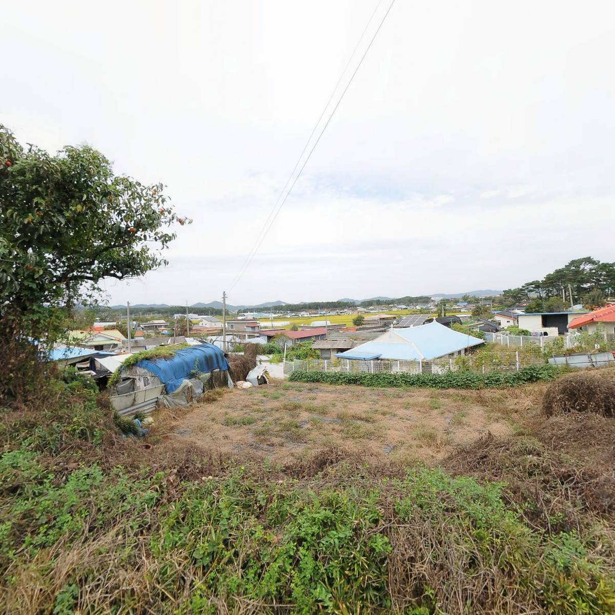 대왕연료주식회사_3