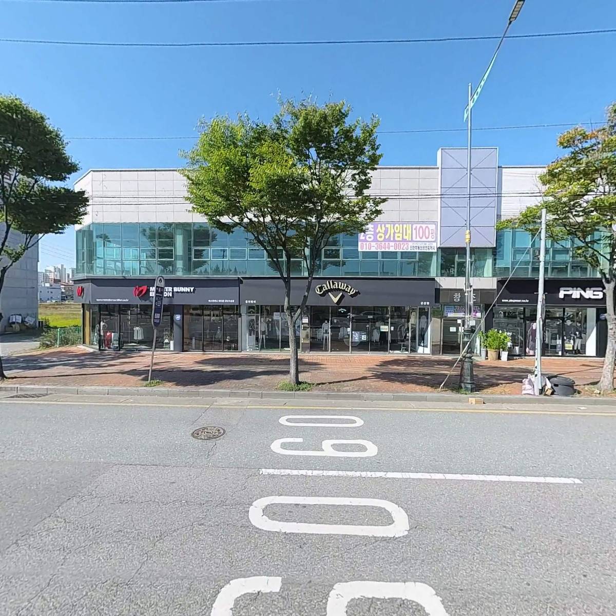 유한회사 이오팔