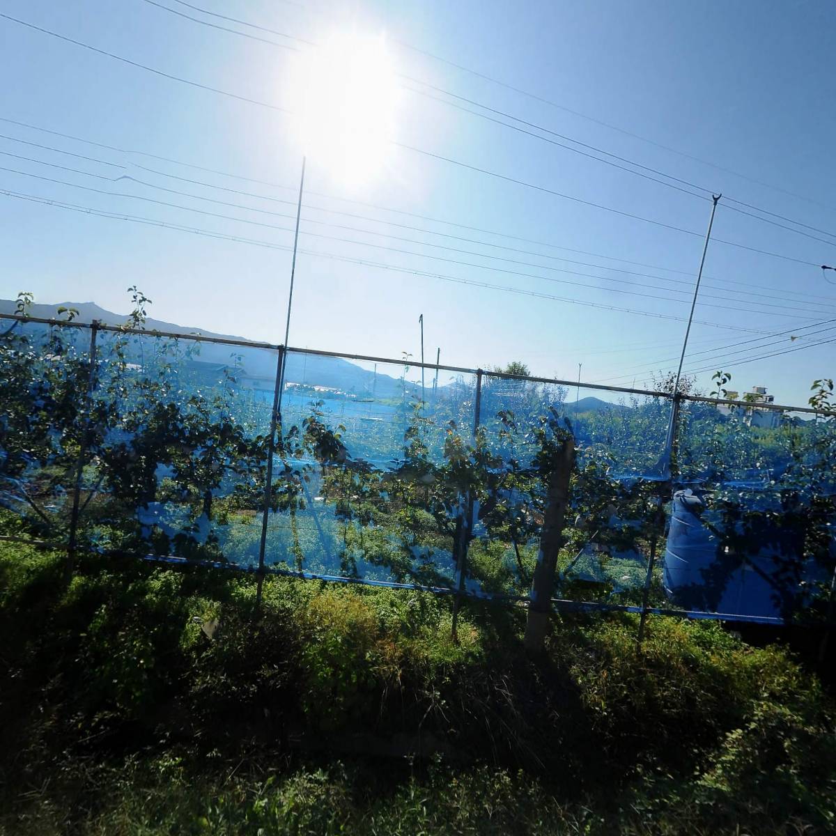 자전거탄갤러리_3