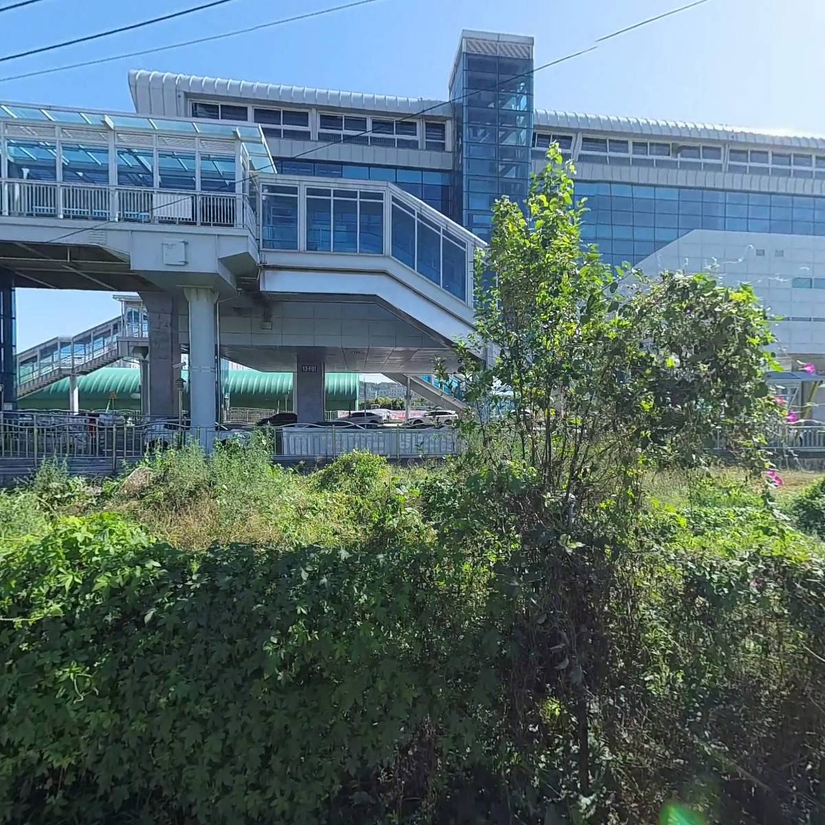 명작화분명작토피_3