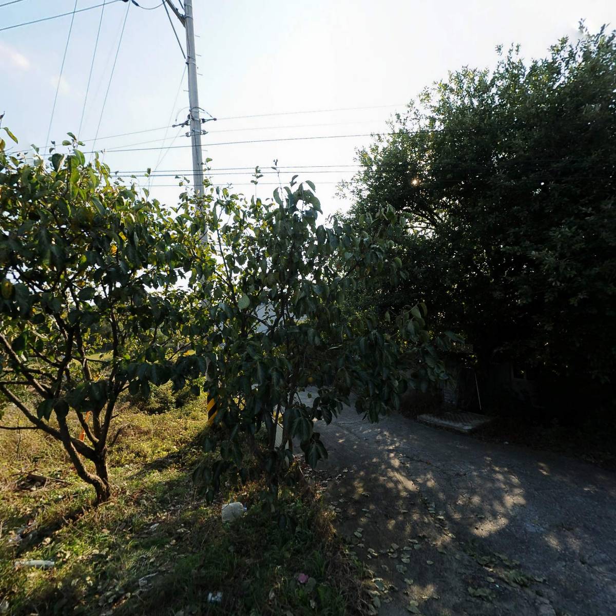 (주)신의테크 논산공장