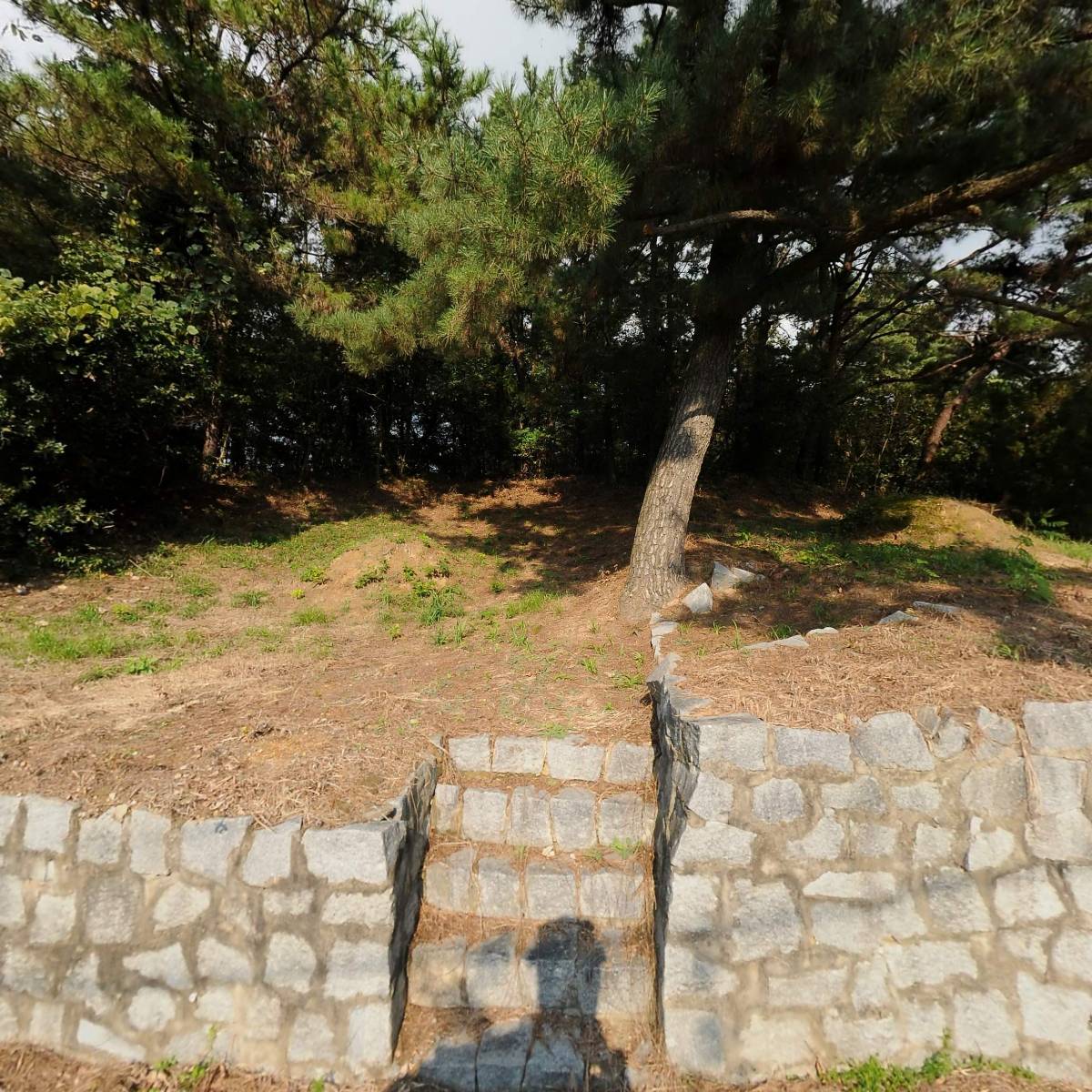대명유통