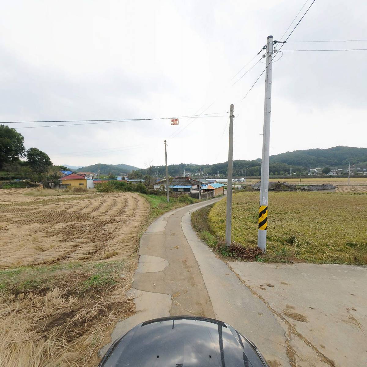 방초오름_4