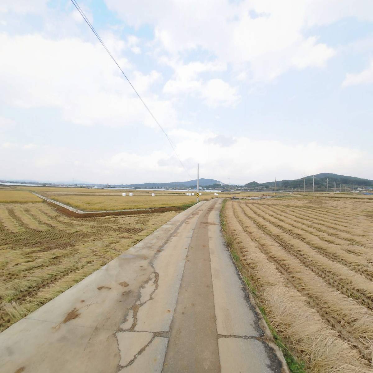 방초오름_2